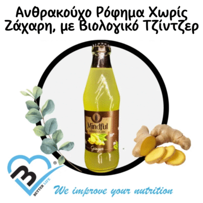 Τζίντζερ Soda Χωρίς Ζάχαρη με Βιολογικό Τζίντζερ. 250ml